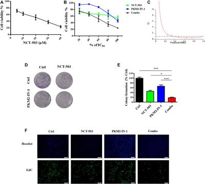 Simultaneous suppression of PKM2 and PHGDH elicits synergistic anti-cancer effect in NSCLC